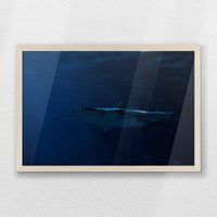 PN-060W040