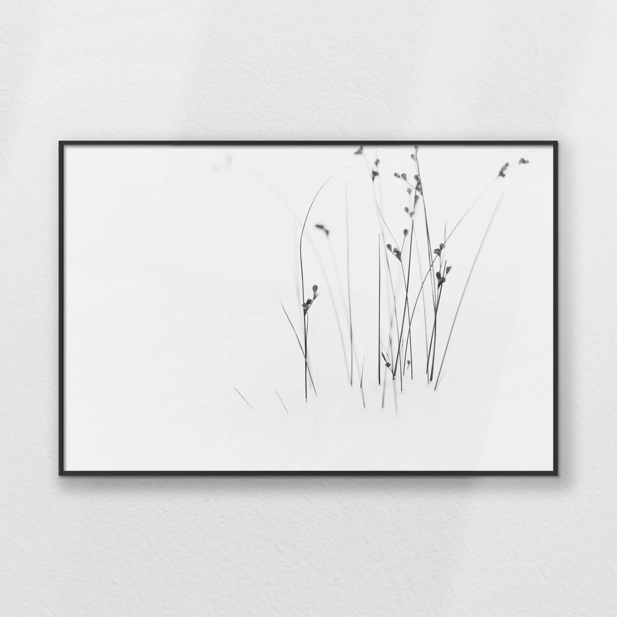 PB-093W062