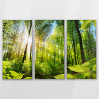LW-150R100