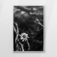 PS-062W093