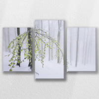LW-060T040
