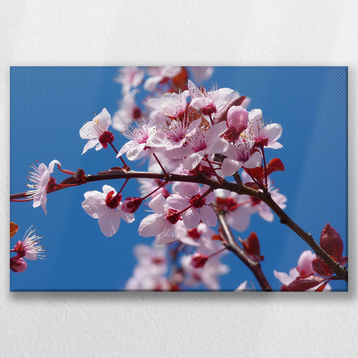 LW-045W030