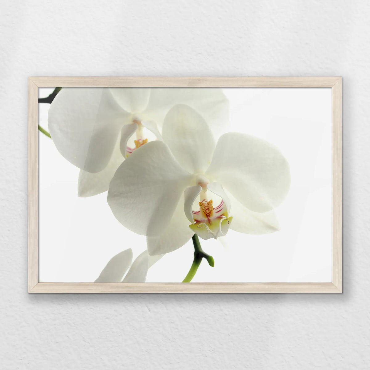 PN-060W040
