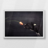 LWW060W040