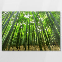 AC-075W050