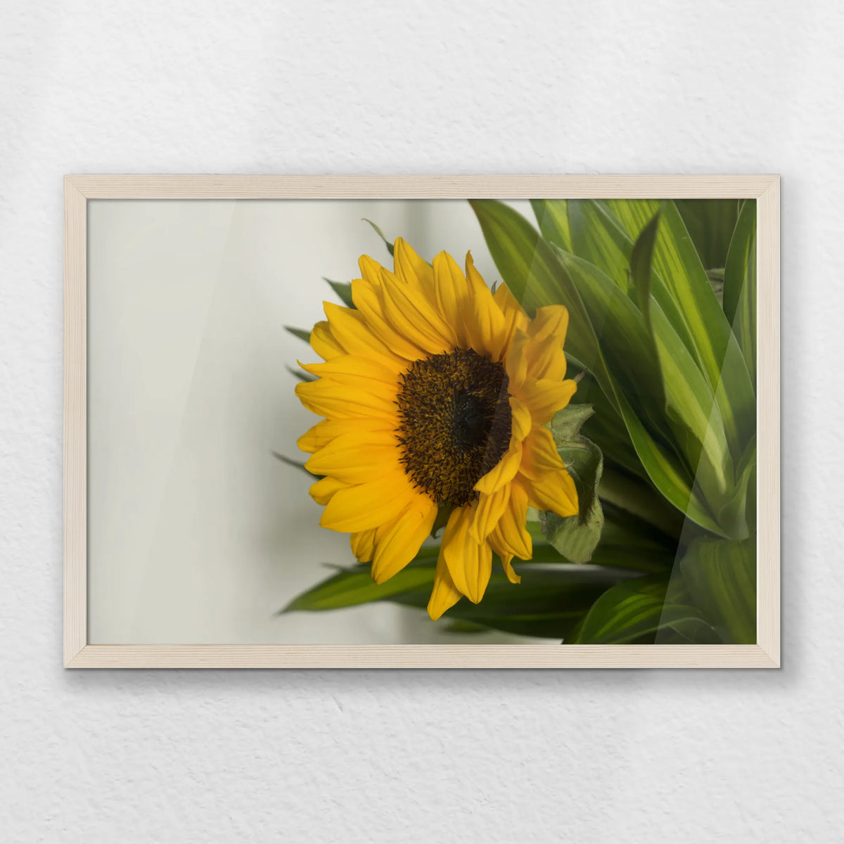 PN-060W040