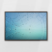 LWN100W070