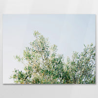 AL-080W060