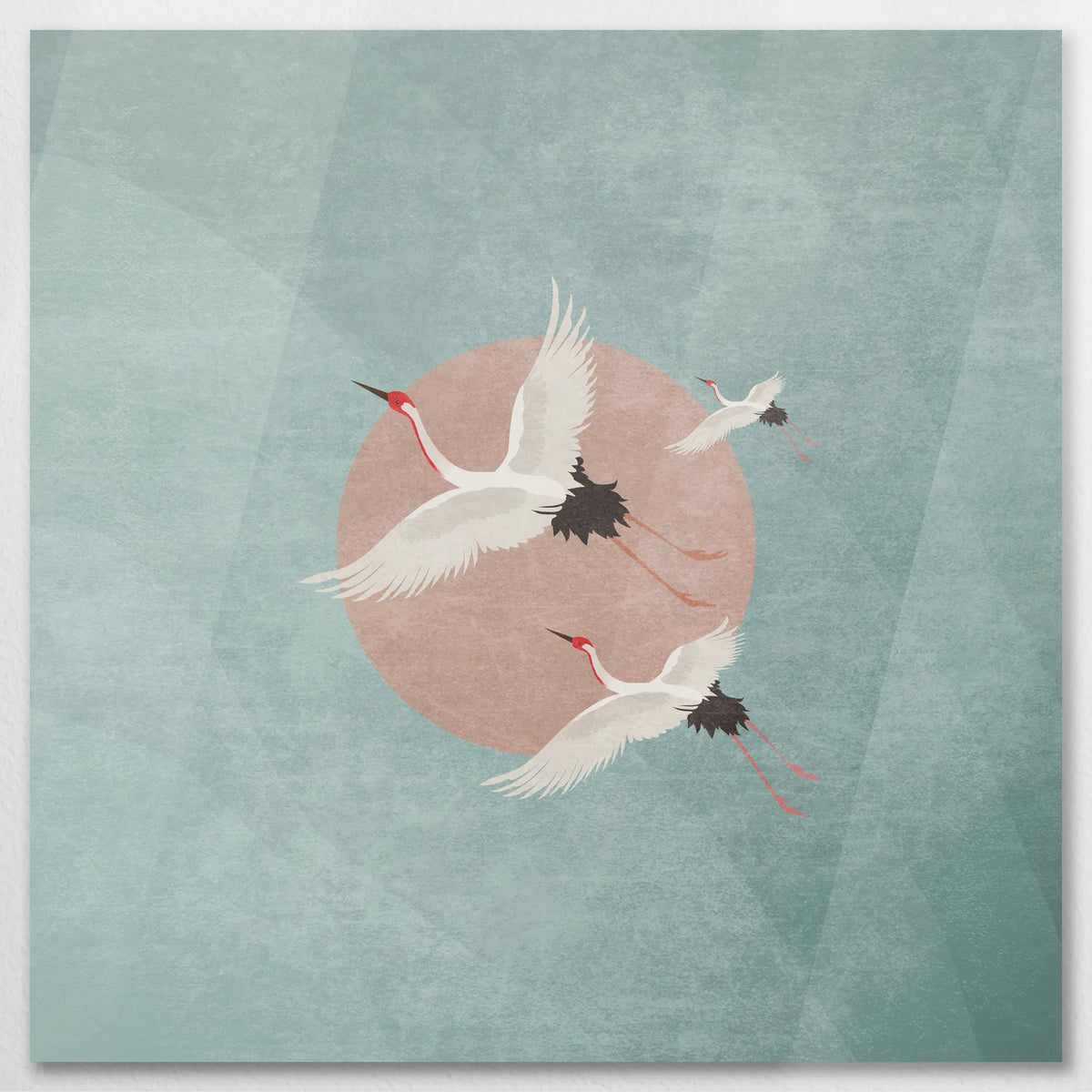 AC-070W070