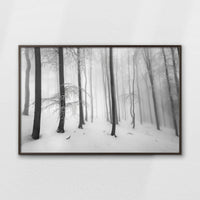 LWN120W080
