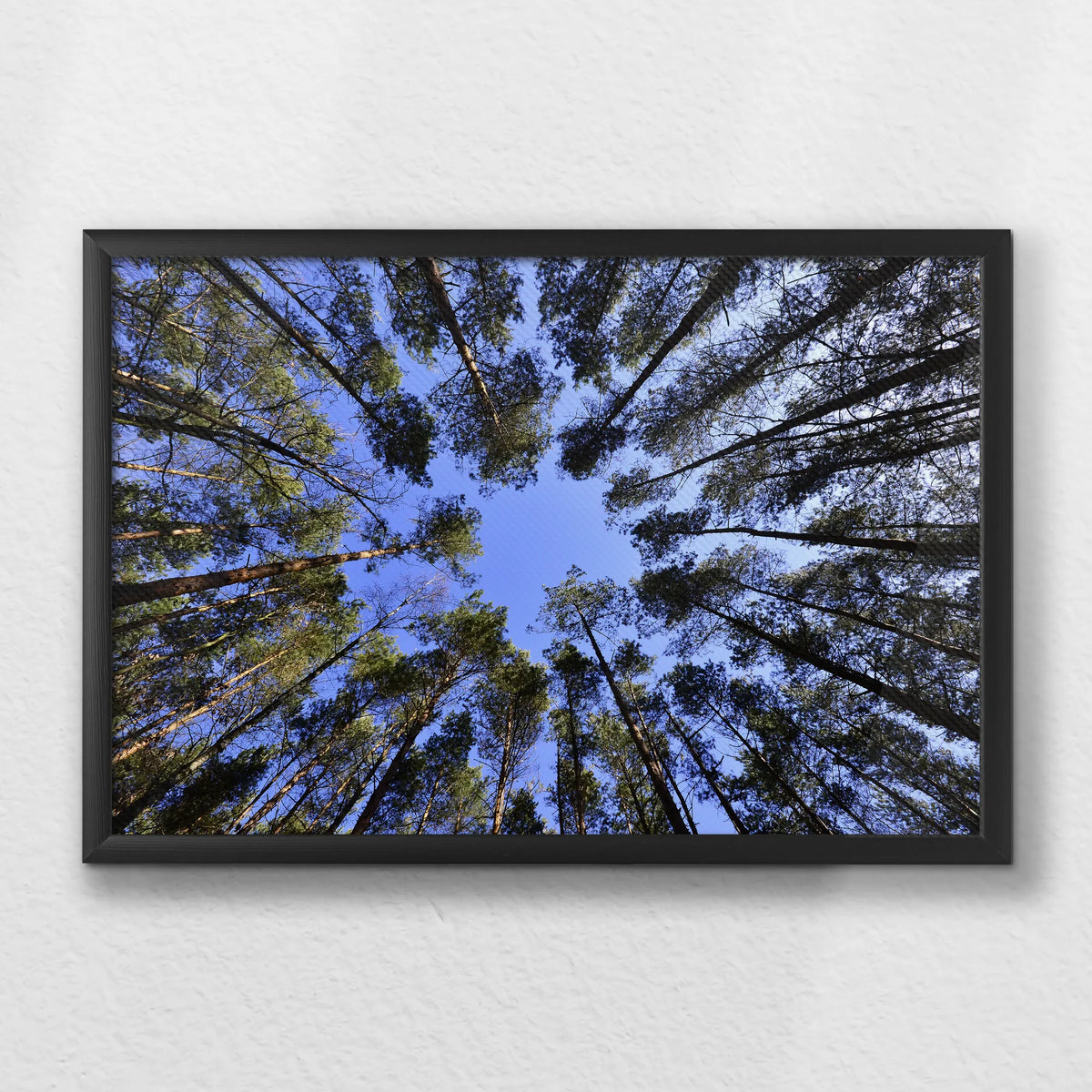 LWB060W040