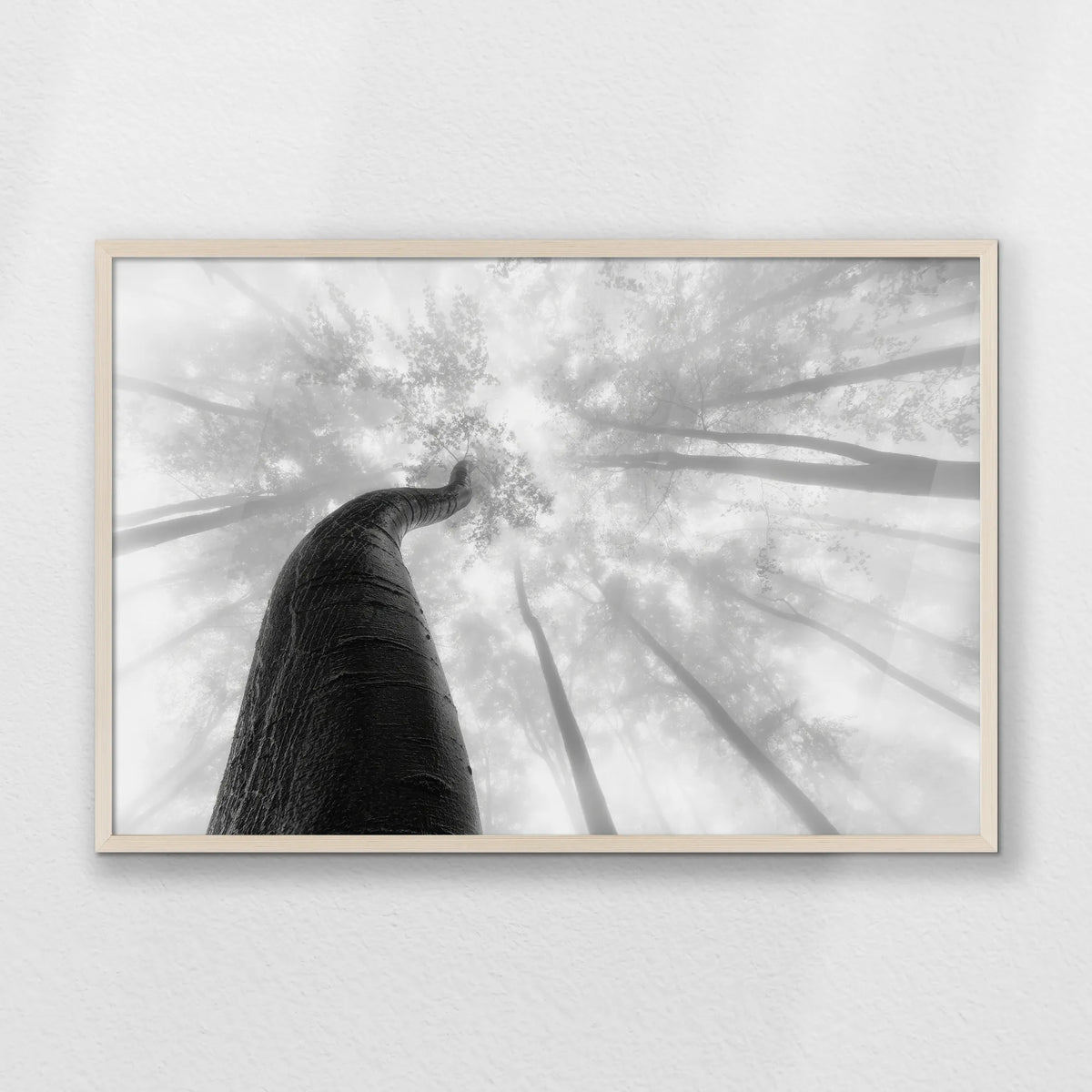 PN-093W062