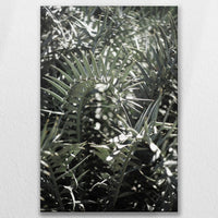 LW-080W120