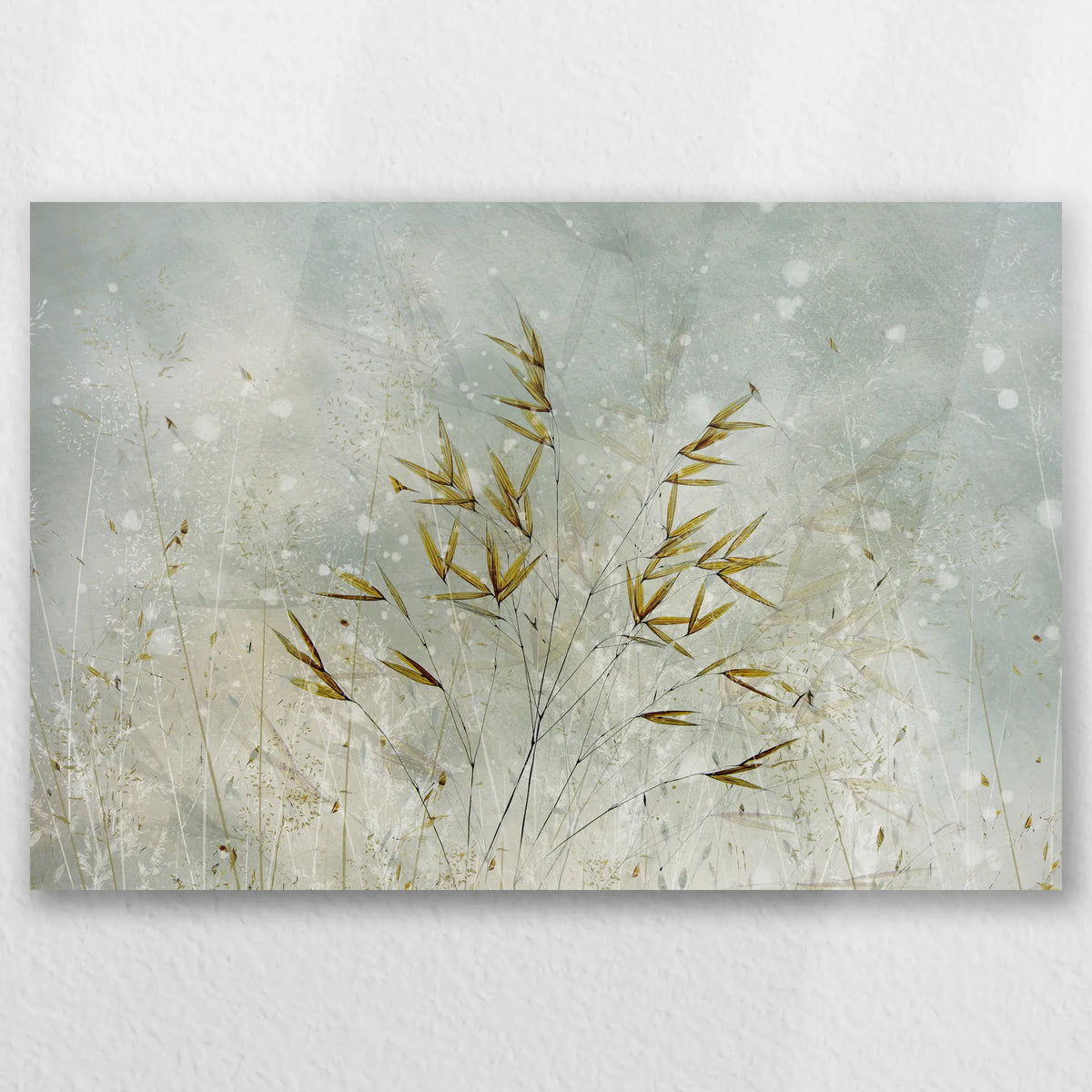 AC-030W020
