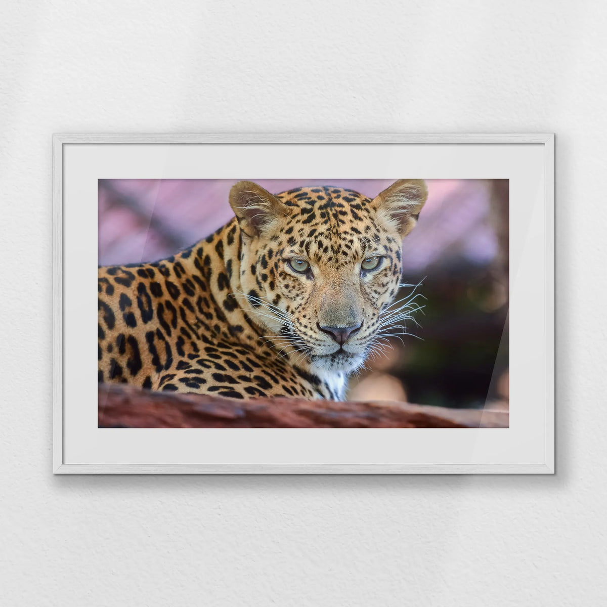 PWP093W062