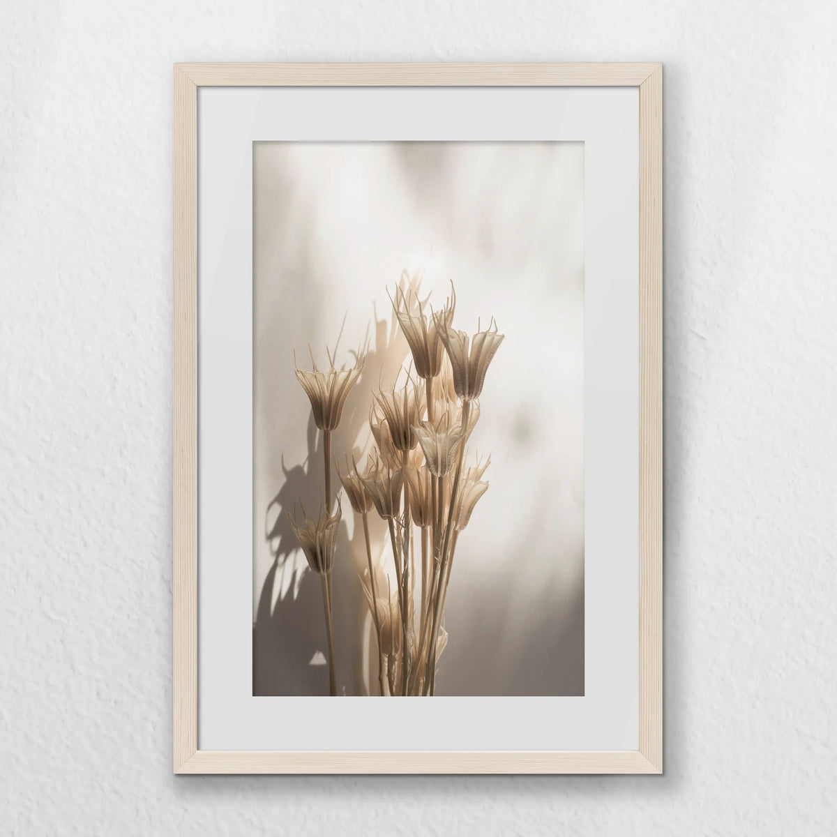 PNP040W060