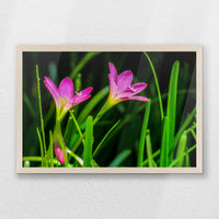 PN-060W040