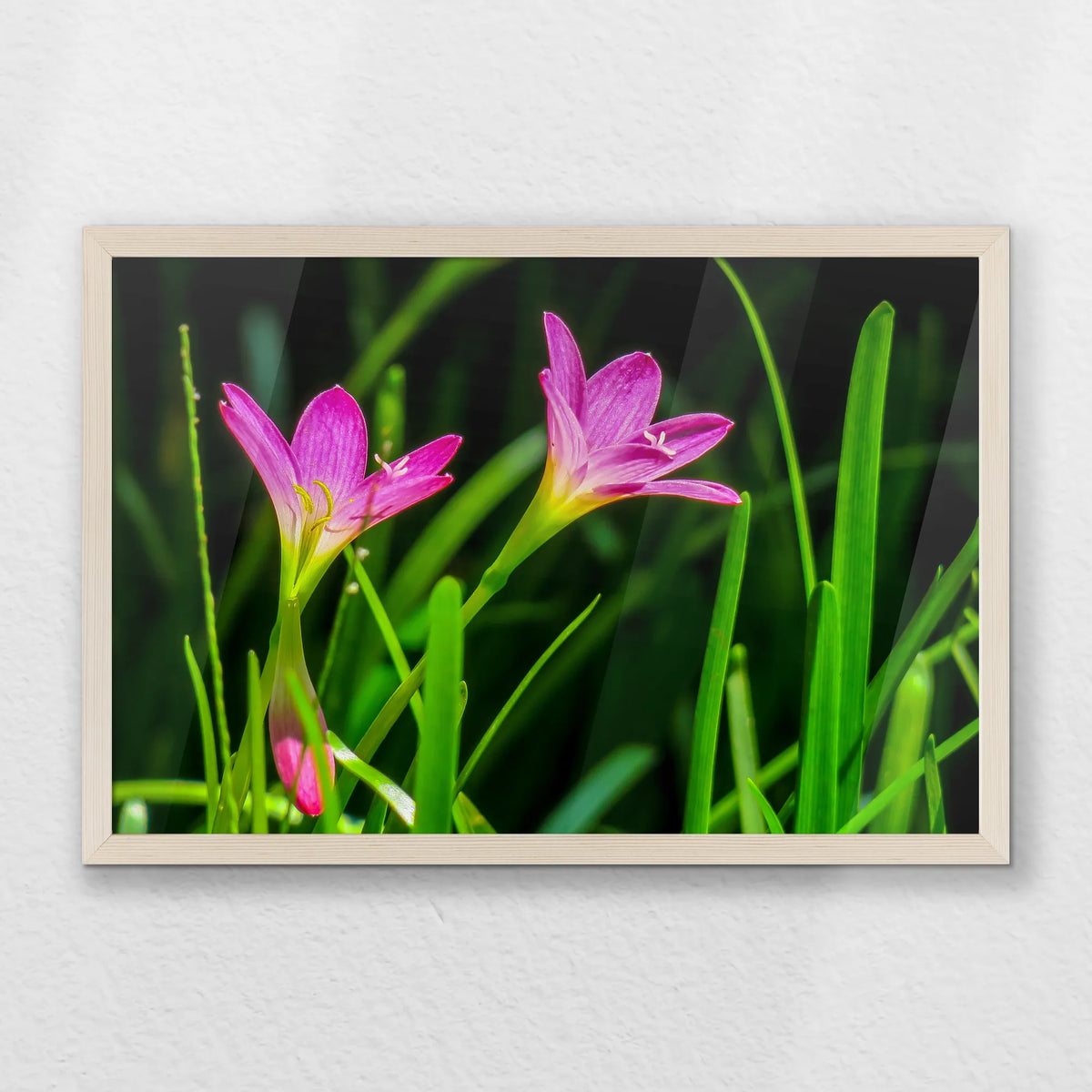 PN-060W040