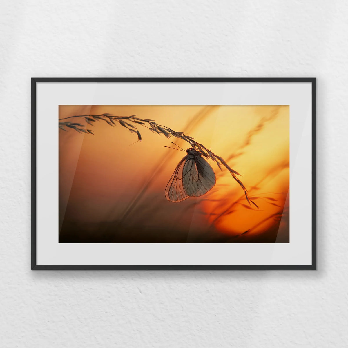 PBP060W040