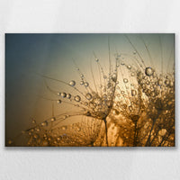 LW-075W050