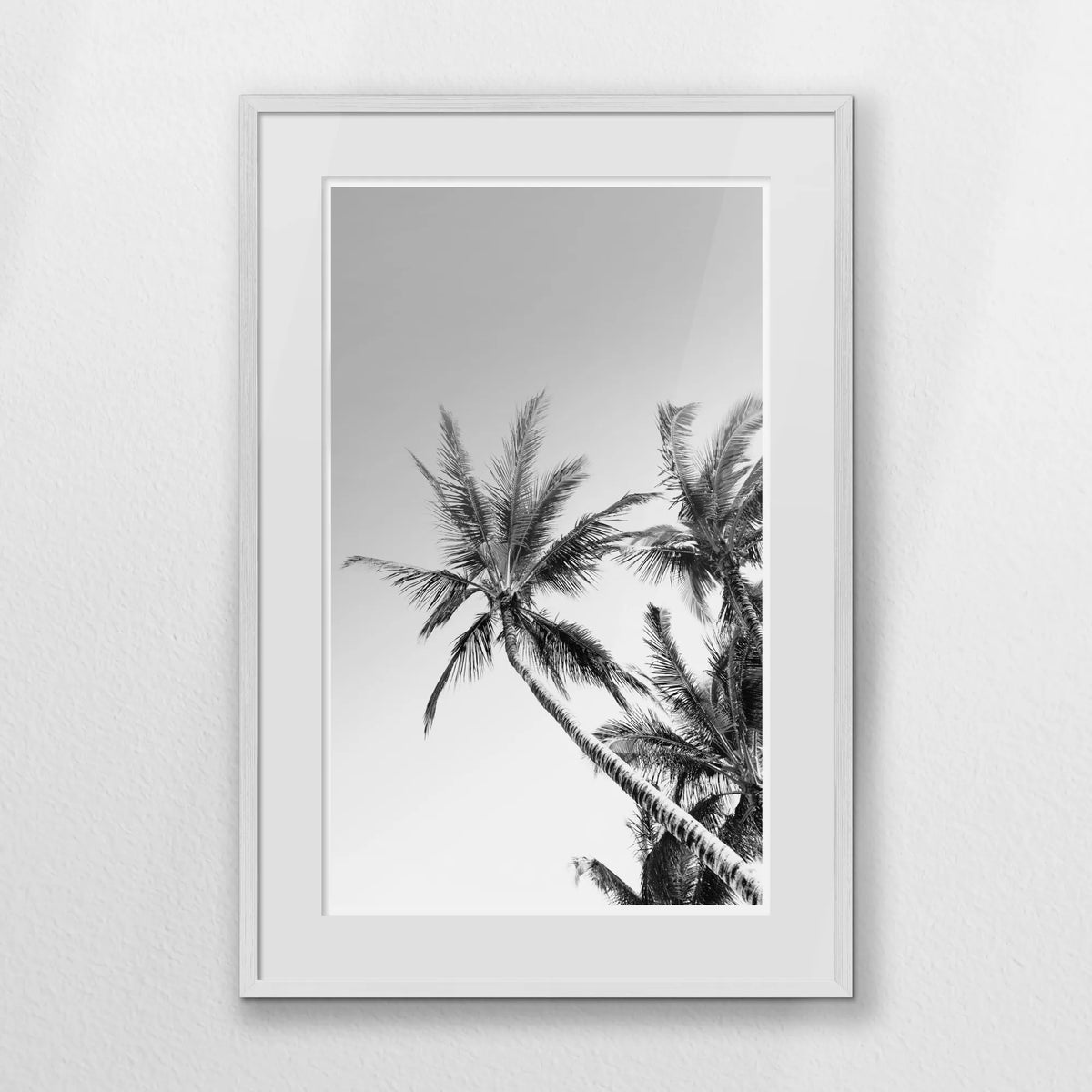 PWP062W093