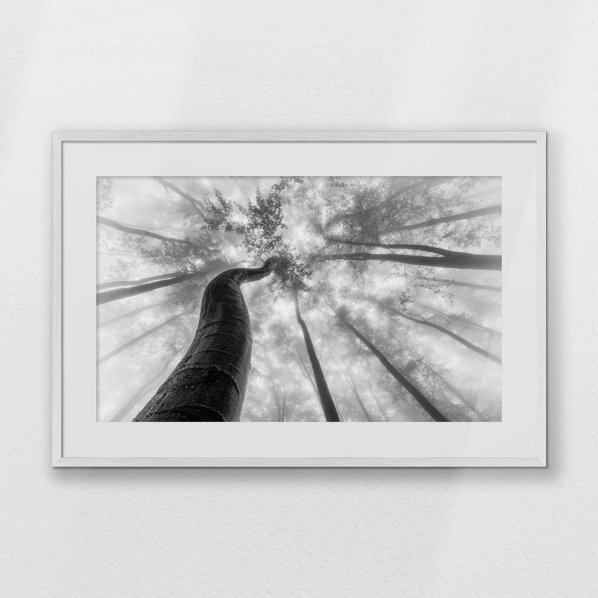 PWP093W062