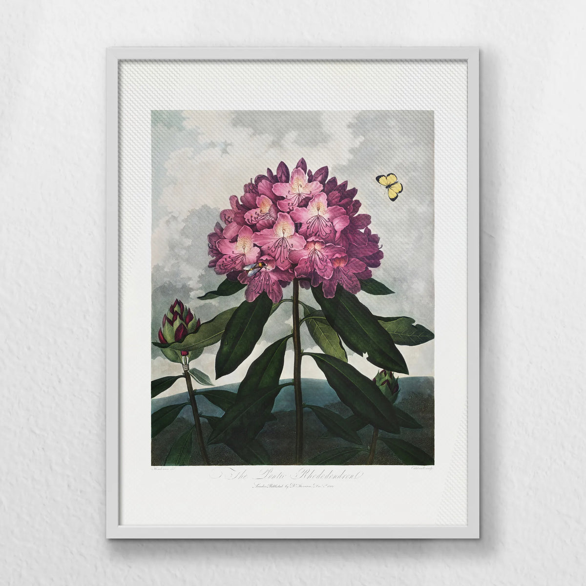LWW060W080
