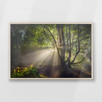 PN-100W070