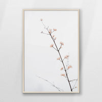 PN-070W100