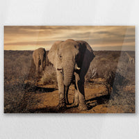 AC-030W020