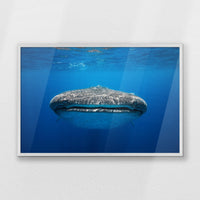 PW-093W062