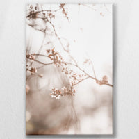 LW-050W075
