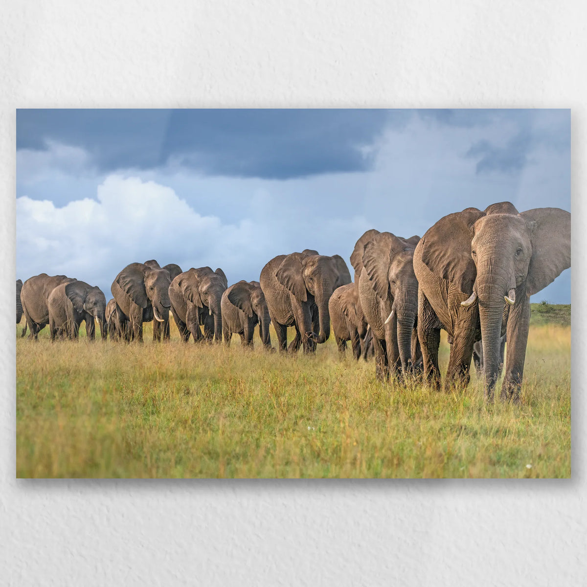 AL-045W030