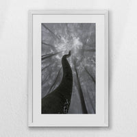 PWP040W060
