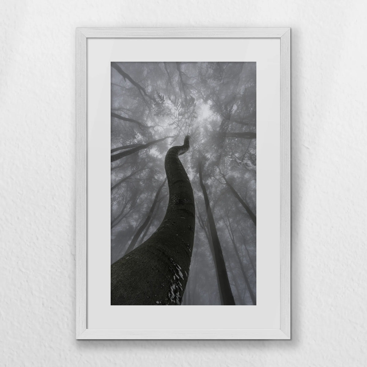 PWP040W060