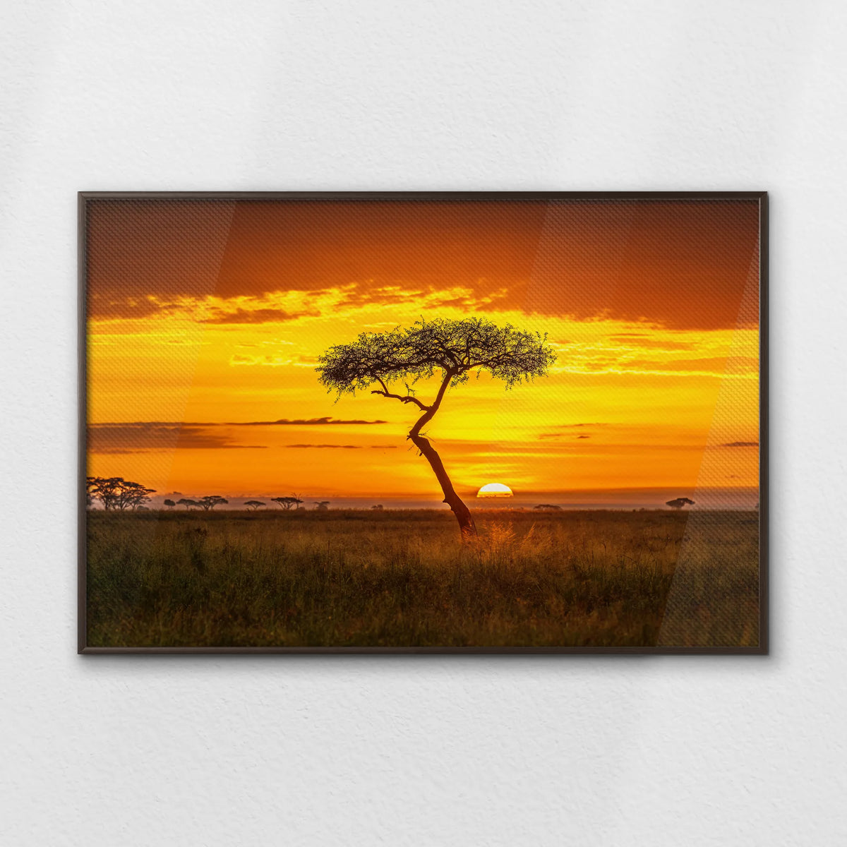 LWN120W080