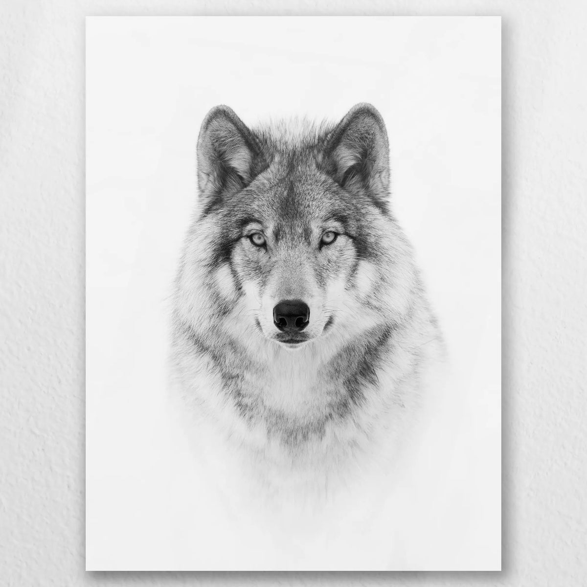 AC-045W060
