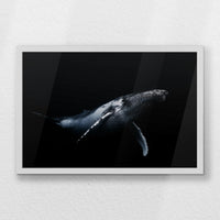 LWW060W040