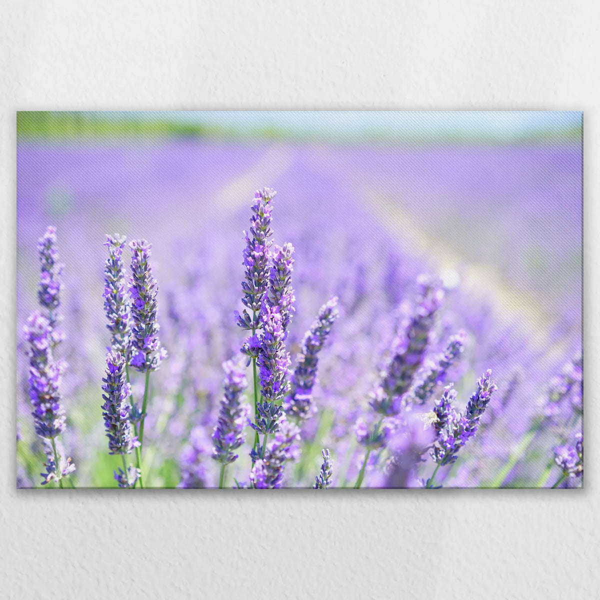 LW-120W080
