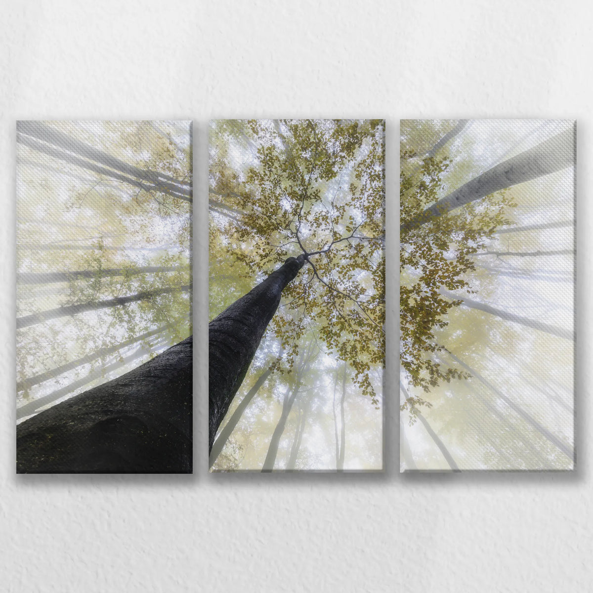 LW-090R060