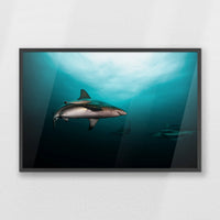 PK-093W062