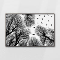 LWN120W080