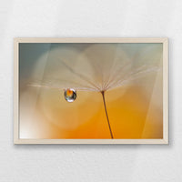 PN-060W040