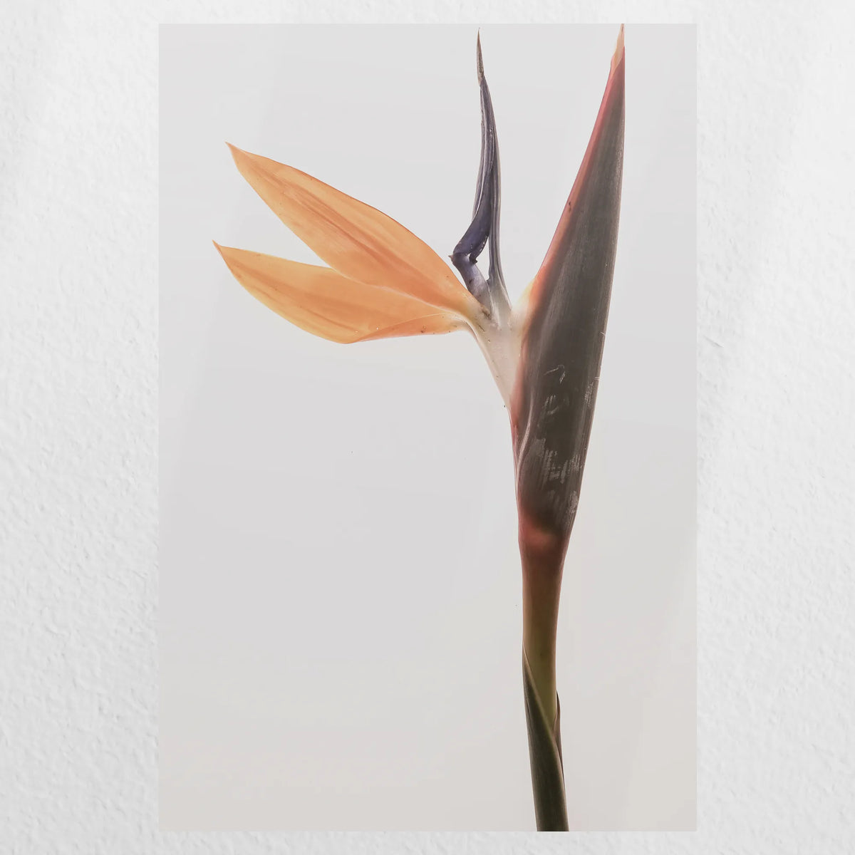 PO-020W030
