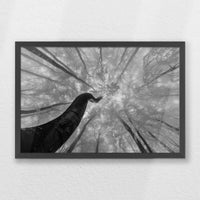 PK-060W040