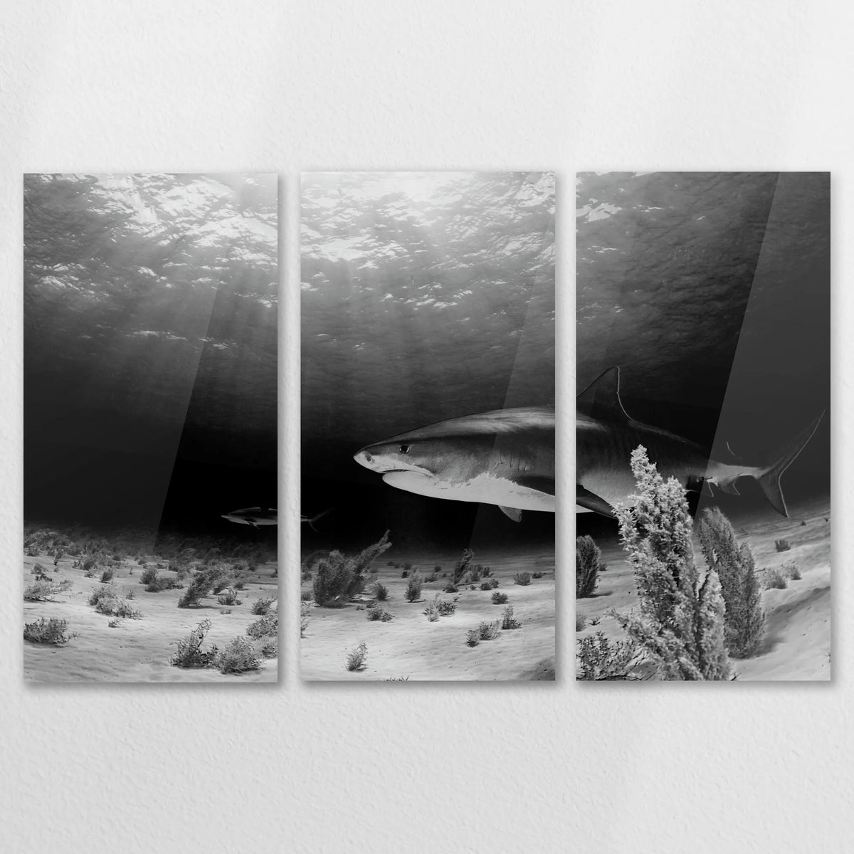 AC-120R080