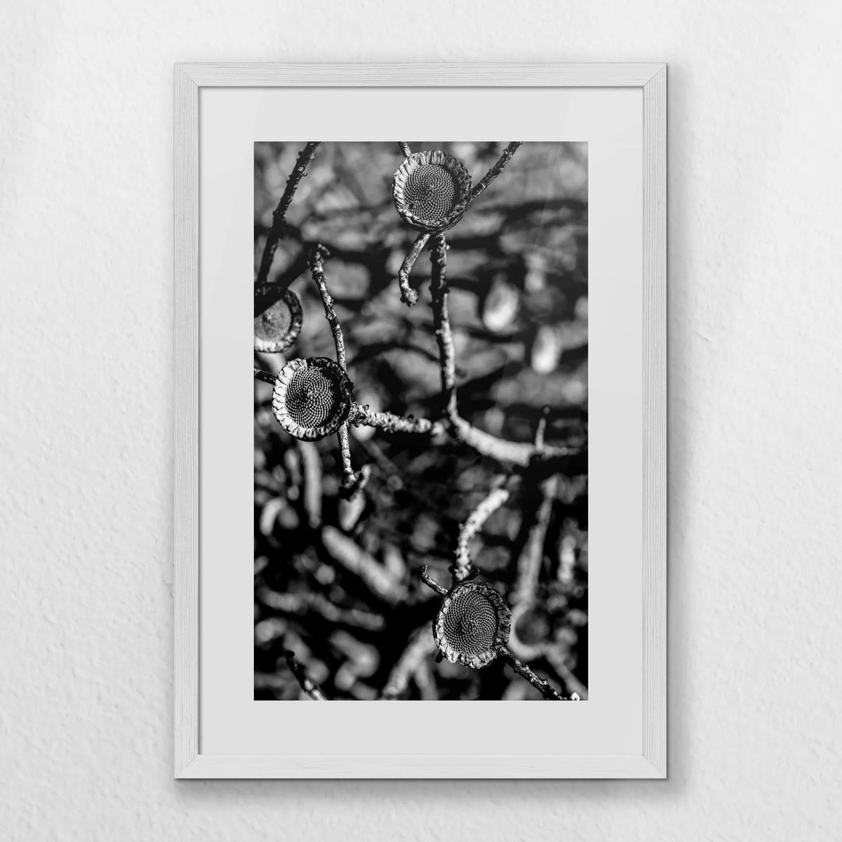 PWP040W060