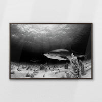 LWN120W080