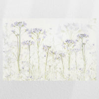 PO-030W020