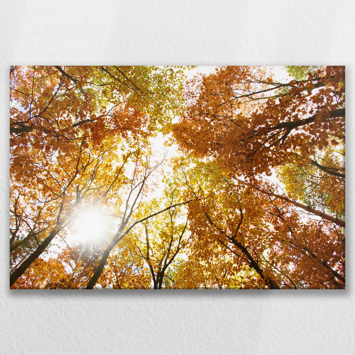 LW-090W060